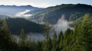 5 wege wie du innere freiheit findest