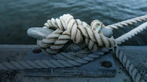 Warum dein Gehirn bei Veränderungen auf die Bremse tritt